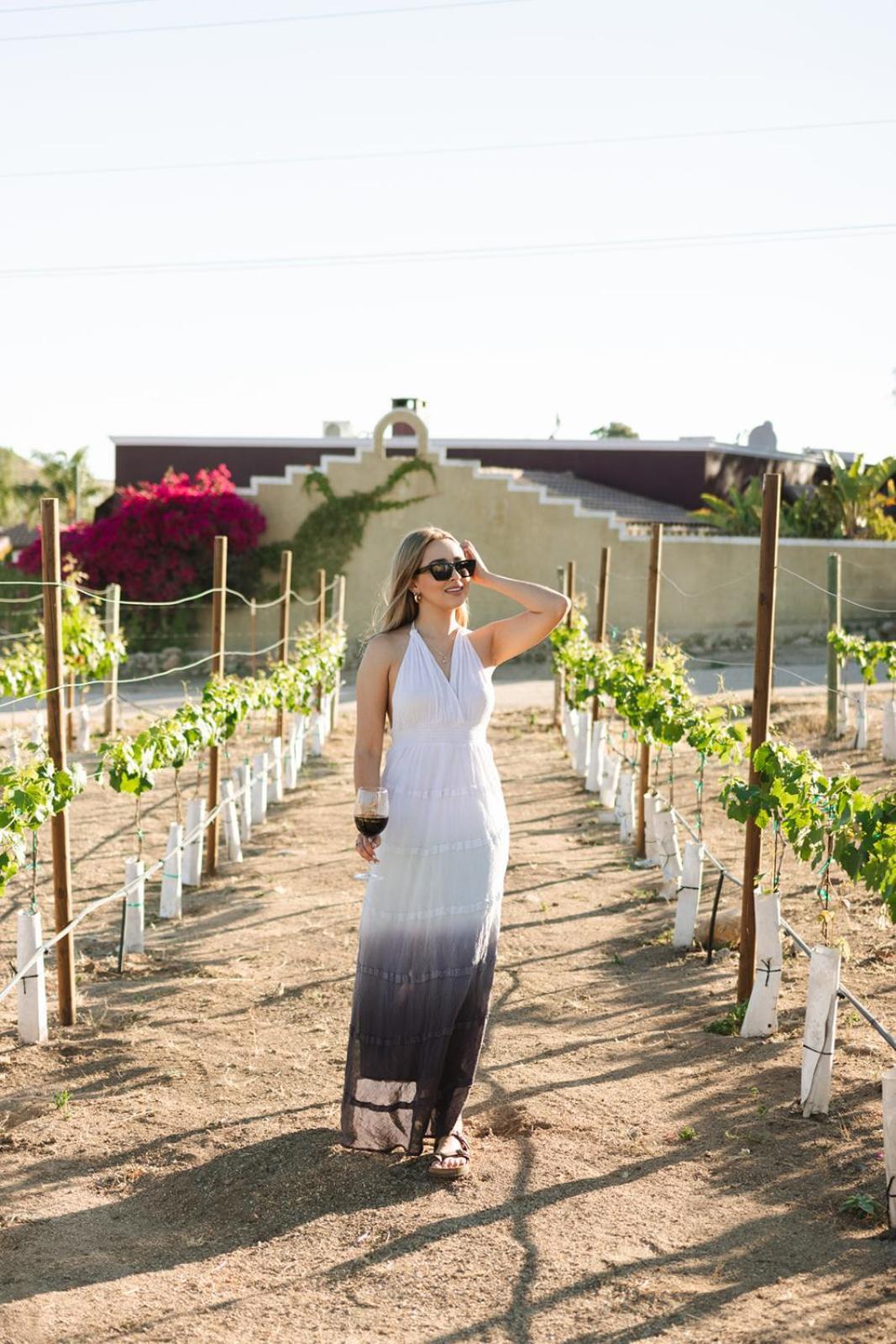 Sol Del Valle Valle de Guadalupe Exterior photo