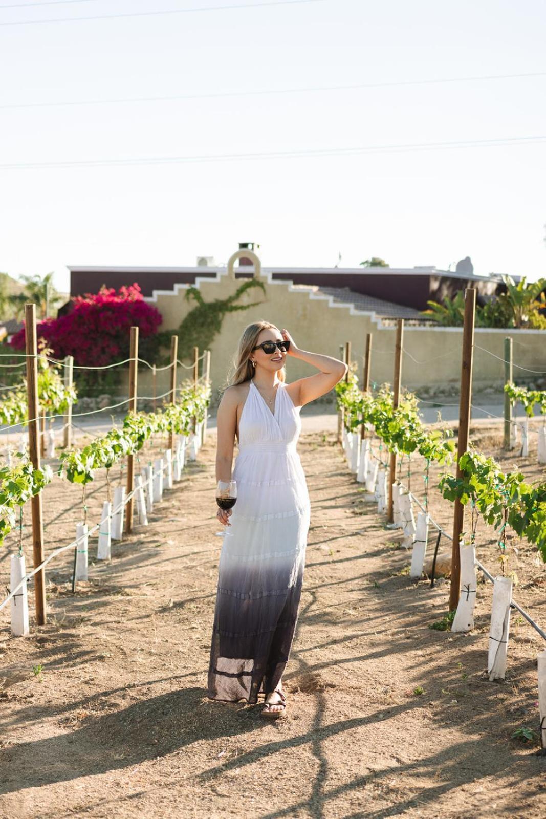 Sol Del Valle Villa Valle de Guadalupe Exterior photo